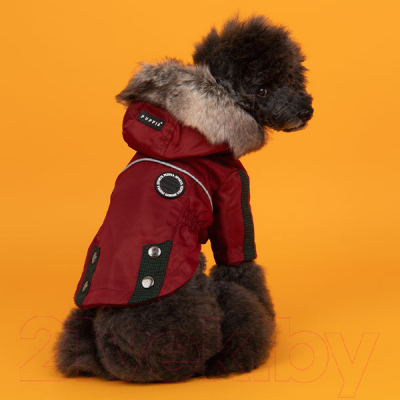 Куртка для животных Puppia Brock с капюшоном / PAUD-JM1851-RD-XXL (красный)