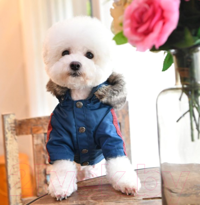 Куртка для животных Puppia Brock с капюшоном / PAUD-JM1851-TE-XXL (синий)