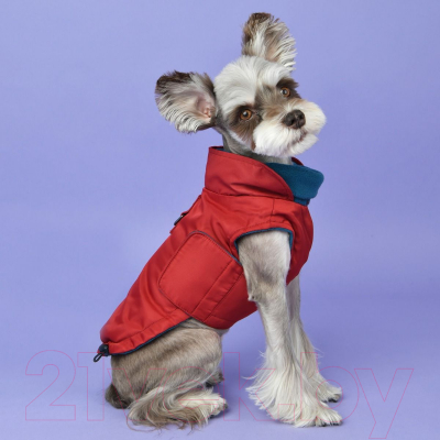 Изображение товара Жилетка для животных Puppia Tomas / PAUD-VT1854-RD-L (красный)