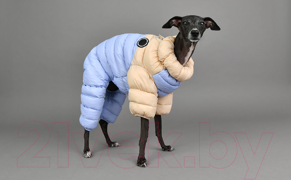 Комбинезон для животных Puppia Ultra Light Pastel / PAUD-JP1675-BE-S (бежевый/голубой) — фото 5