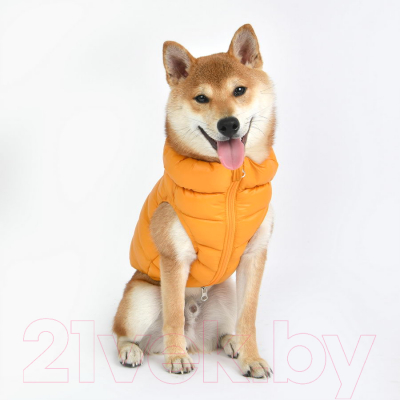 Жилетка для животных Puppia Ultra Light Vest A / PAPD-JM1670-MS-XL (оранжевый)