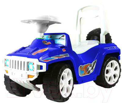 

Каталка детская Orion Toys, Синий, Race Mini Formula 1 / ОР419