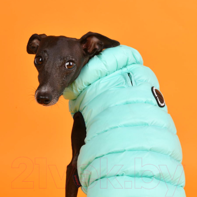 Жилетка для животных Puppia Ultra Light Vest B / PAPD-JM1671-SB-XXL (бирюзовый)