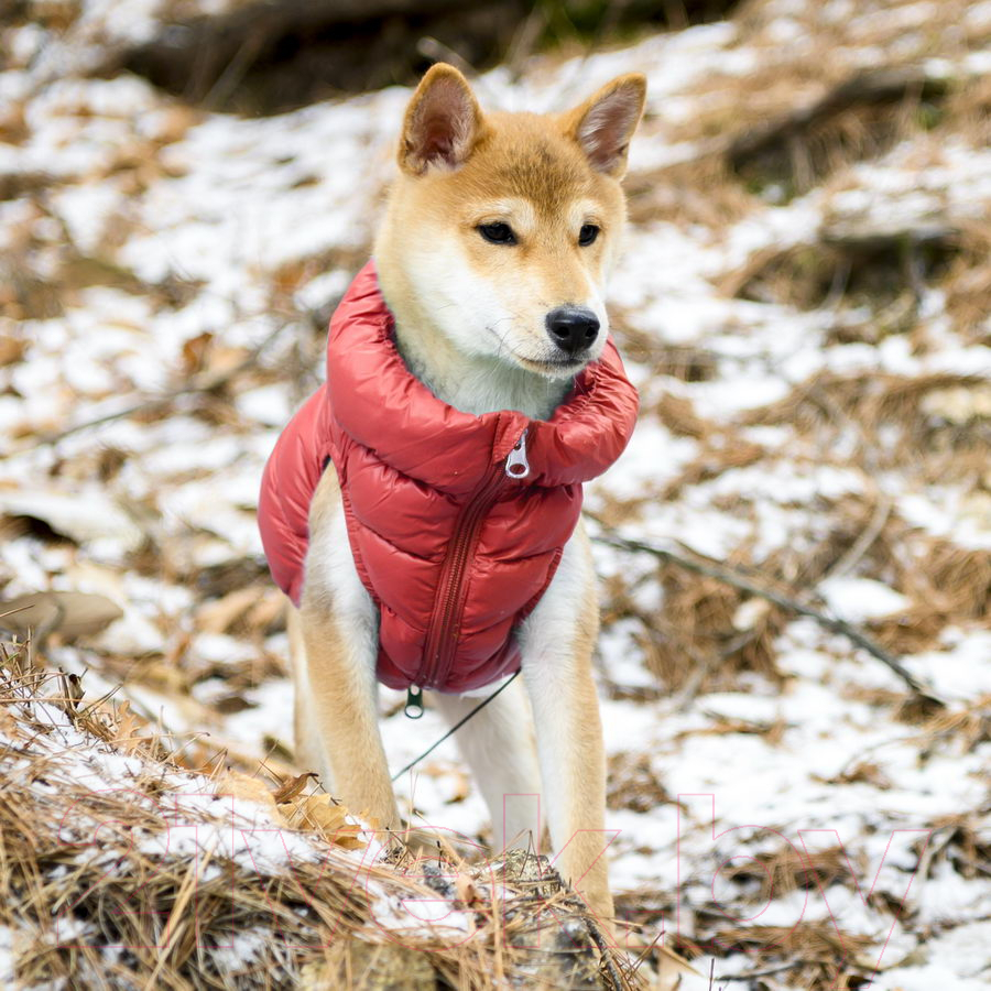Жилетка для животных Puppia Ultra Light Vest A / PAPD-JM1670-RD-XL (красный) — фото 4
