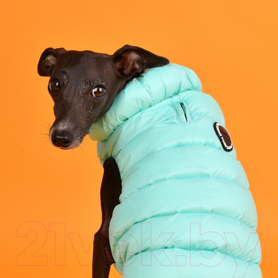Жилетка для животных Puppia Ultra Light Vest B / PAPD-JM1671-SB-S (бирюзовый) — фото 3