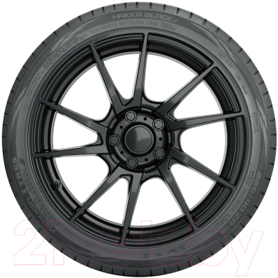 Летняя шина Nokian Tyres Hakka Black 2 205/50R17 93W