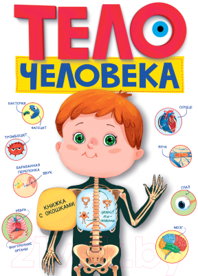 

Развивающая книга Проф-Пресс, Книжка с окошками. Тело человека