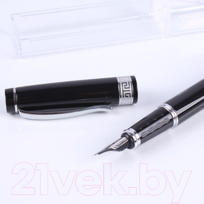 Ручка перьевая Darvish DV-5559