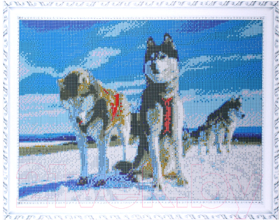 

Набор алмазной вышивки Darvish, Хаски в упряжке / DV-11514-21