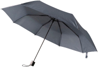 Зонт складной SunShine Сиэтл 8008.09 (серый) - 