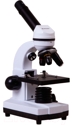 Микроскоп оптический Bresser Junior Biolux SEL 40–1600x / 75314 (белый)