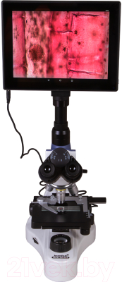 Микроскоп цифровой Levenhuk MED D10T LCD / 73987