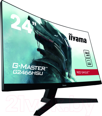 Монитор Iiyama ProLite G2466HSU-B1