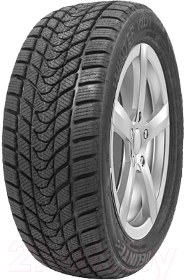 Зимняя шина Delinte Winter WD1 175/70R14 88T