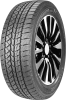 Зимняя шина DoubleStar DW02 275/35R20 102T - 