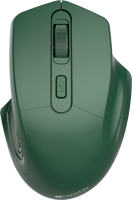 

Мышь Canyon, CNE-CMSW15SM