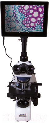 Микроскоп цифровой Levenhuk MED D35T LCD / 74003