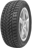 Зимняя шина Delinte Winter WD1 215/45R17 91H - 