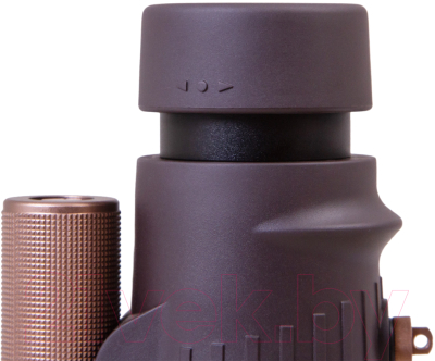 Изображение товара Монокуляр Levenhuk Vegas ED 10x50 / 74158