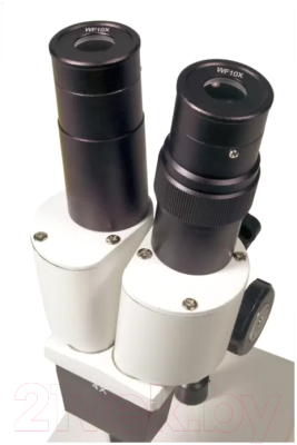 Микроскоп оптический Levenhuk 2ST / 35322