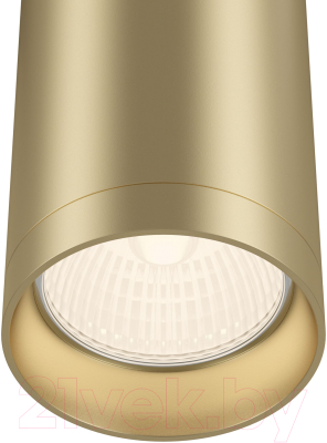 Потолочный светильник Maytoni Alfa C010CL-01MG