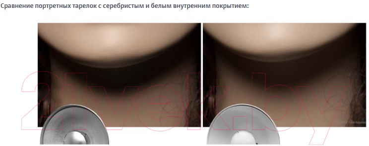 Тарелка портретная Godox BDR-W420 / 27565 — фото 2