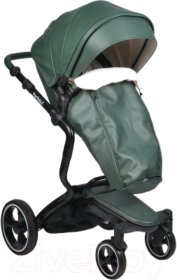 Детская универсальная коляска Farfello Hot Mama 2 в 1 (вечнозеленый)