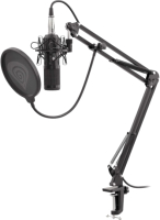 

Микрофон GENESIS, Radium 300 XLR / NGM-1695