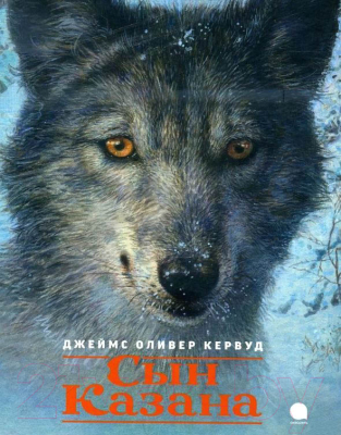 

Книга Акварель, Сын Казана