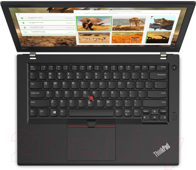 Ноутбук Lenovo ThinkPad T480 (20L50009RT)