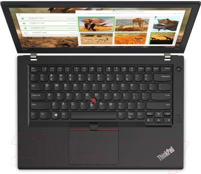 Ноутбук Lenovo ThinkPad T480 (20L5000ART)