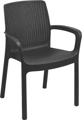 

Стул пластиковый, Regina REG16CAN / REG040AN