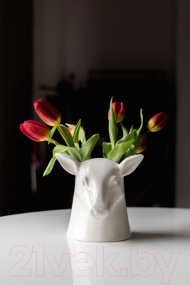 Изображение товара Органайзер для хранения Suck UK Stag / SK POTSTAG1