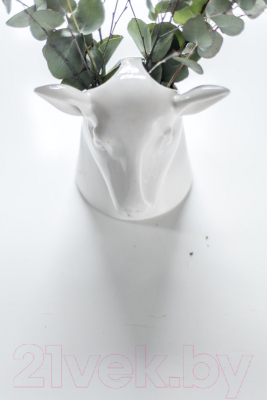 Изображение товара Органайзер для хранения Suck UK Stag / SK POTSTAG1