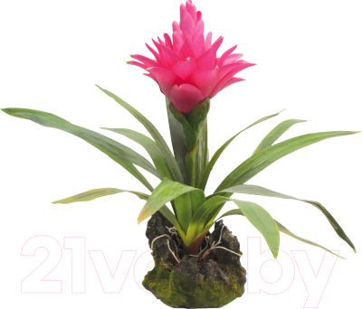 

Декорация для террариума Lucky Reptile, Bromelia / IF-23