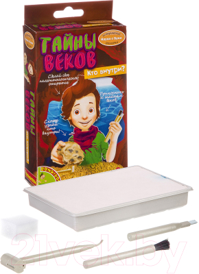 Изображение товара Набор для опытов Bondibon Исторические раскопки. Тайны веков / ВВ2649