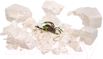 Изображение товара Набор для опытов Bondibon Исторические раскопки. Тайны веков / ВВ2649