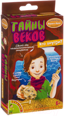 

Набор для опытов Bondibon, Исторические раскопки. Тайны веков / ВВ2649