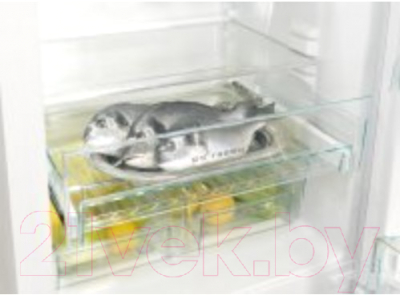 Холодильник с морозильником Snaige RF36NG-P1CB260