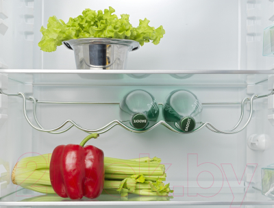 Холодильник с морозильником Snaige RF31SM-P100223