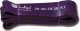 Эспандер Indigo Кроссфит 601 HKRBB (фиолетовый) - 