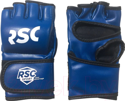 Перчатки для единоборств RSC SB-03-325 (S, синий)