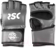 Перчатки для единоборств RSC SB-03-330 (L, серый/черный) - 