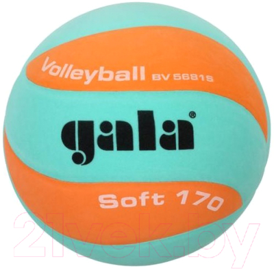 

Мяч волейбольный Gala Sport, Soft 170 / BV 5681 S