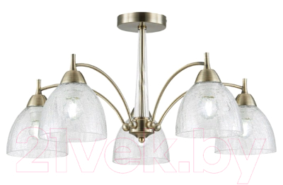 

Люстра Evoluce, Nuele SLE104402-05