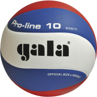 Мяч волейбольный Gala Sport Pro Line 10 / BV 5821 S CZ (белый/синий/красный) - 