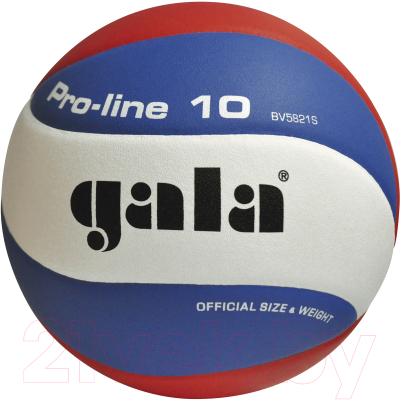 Мяч волейбольный Gala Sport Pro Line 10 / BV 5821 S CZ (белый/синий/красный)