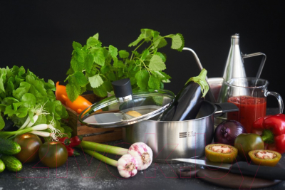 Изображение товара Кастрюля Нева Металл Посуда Vivo КС228