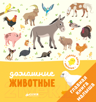 

Развивающая книга CLEVER, Главная книга малыша. Домашние животные
