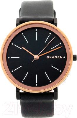 Часы наручные женские Skagen SKW2490